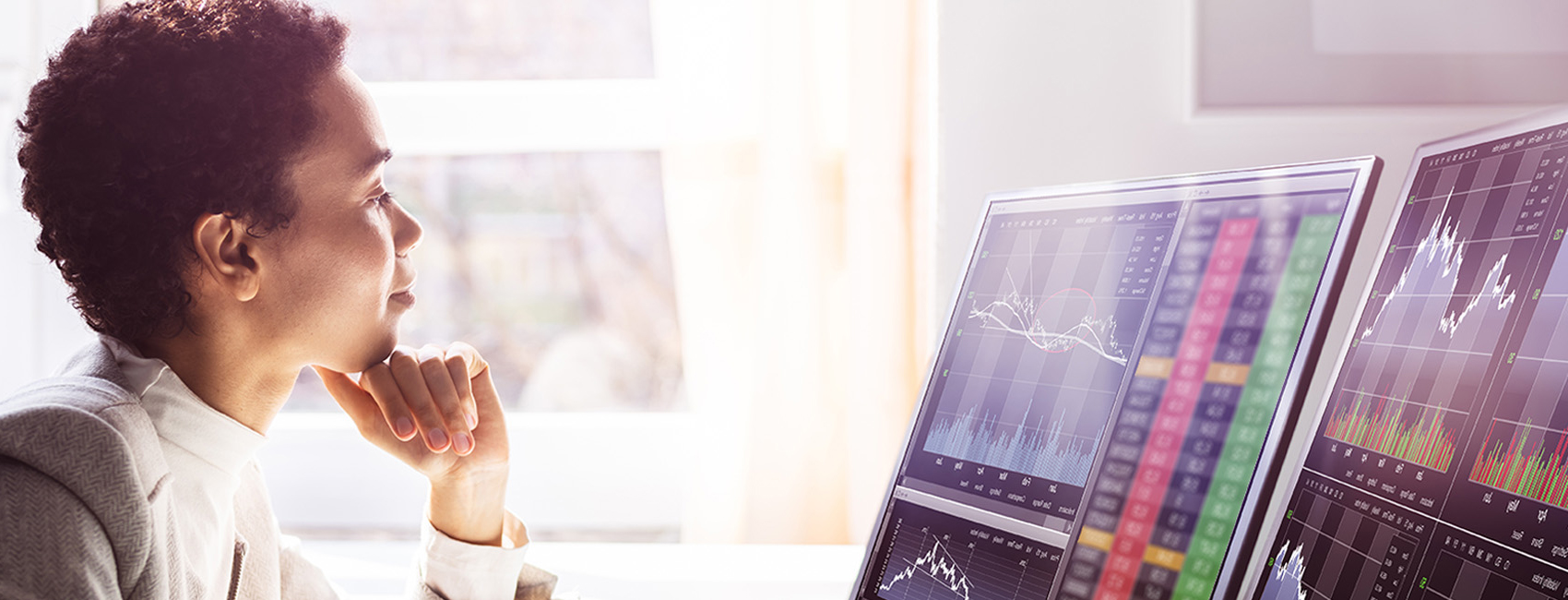 Minor in Economics banner image